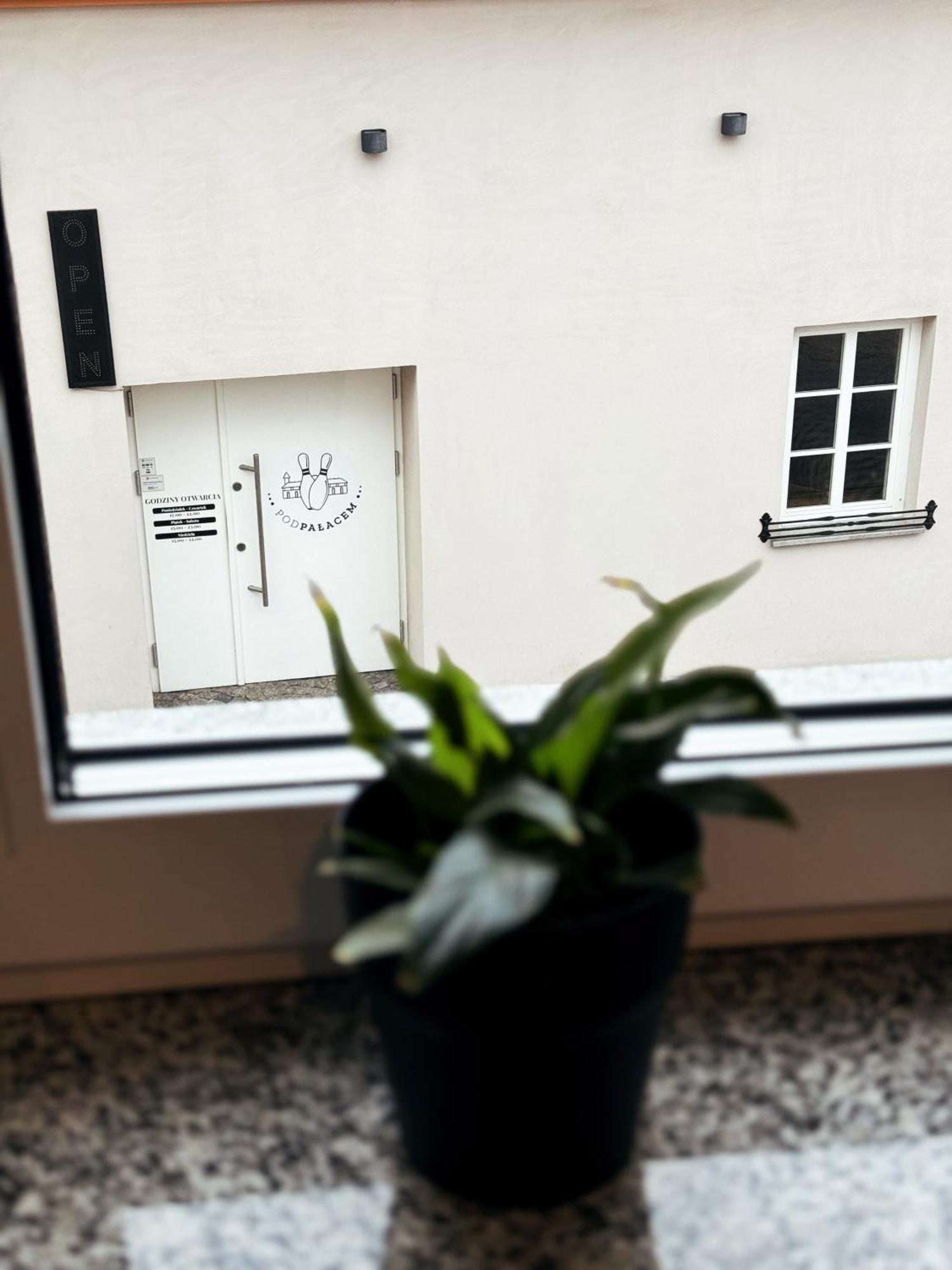 Pokoje Pod Palacem Koszecin Kamer foto