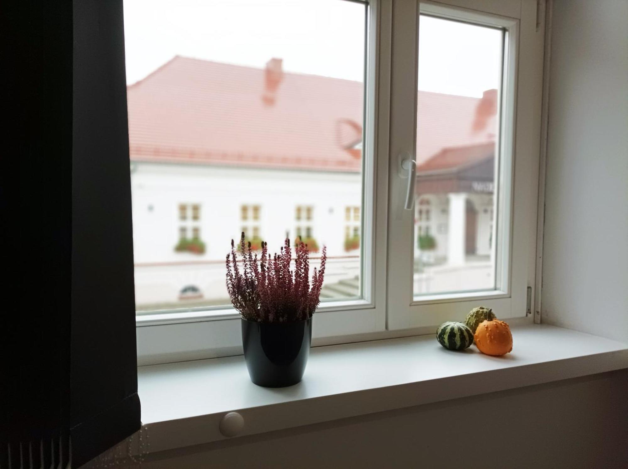 Pokoje Pod Palacem Koszecin Buitenkant foto